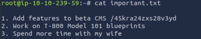 image-20240728105700764