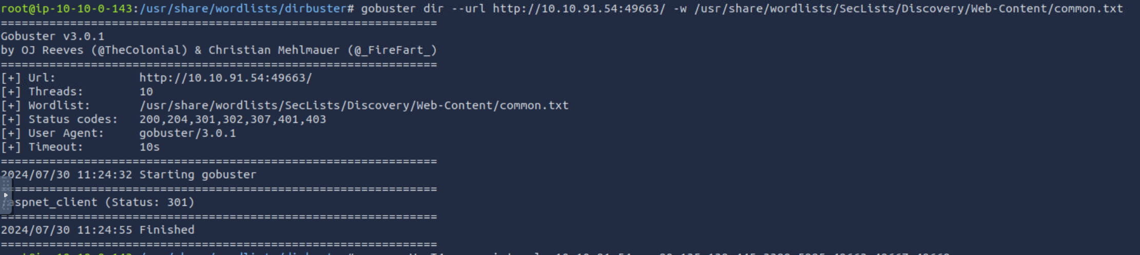 image-20240730183847309