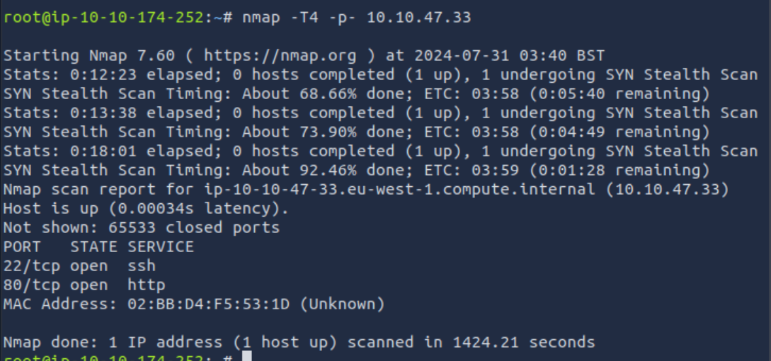 image-20240731131331411