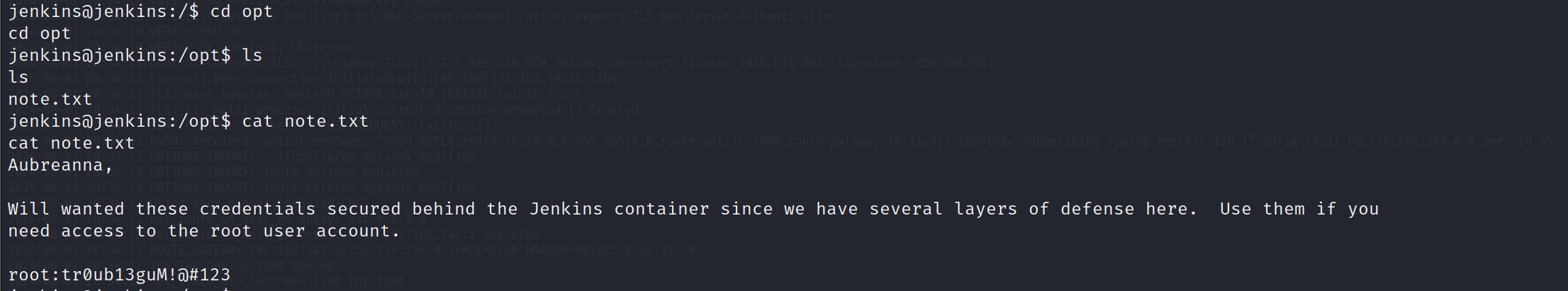 image-20240801215441481